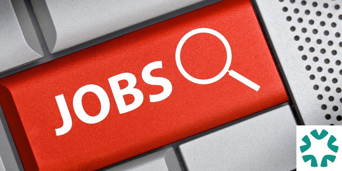 AI's Impact on Entry-Level Jobs: 2026 Insights
